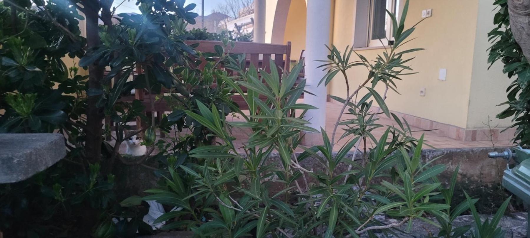 Apartmani Sanja Klenovica Luaran gambar