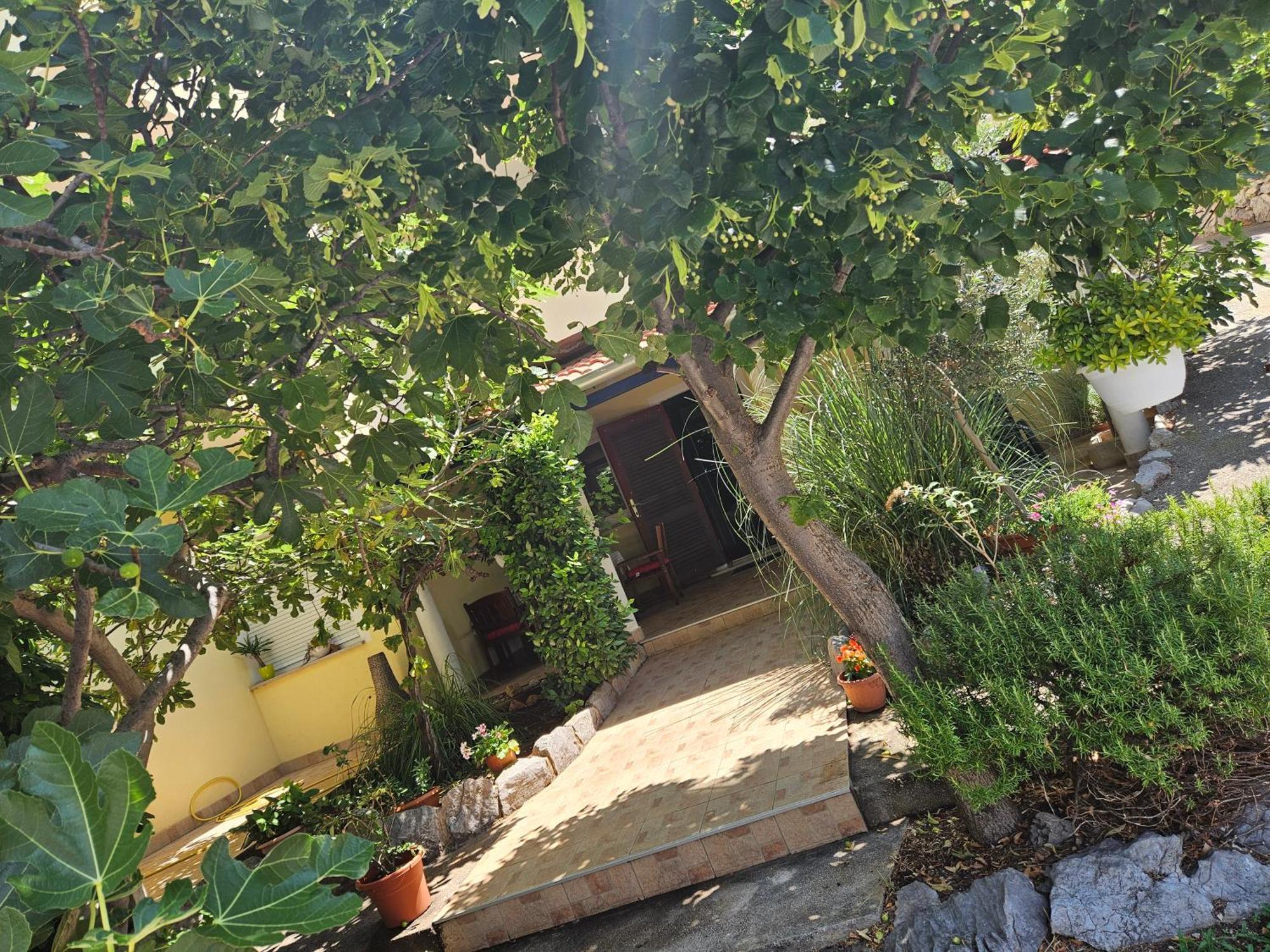 Apartmani Sanja Klenovica Luaran gambar