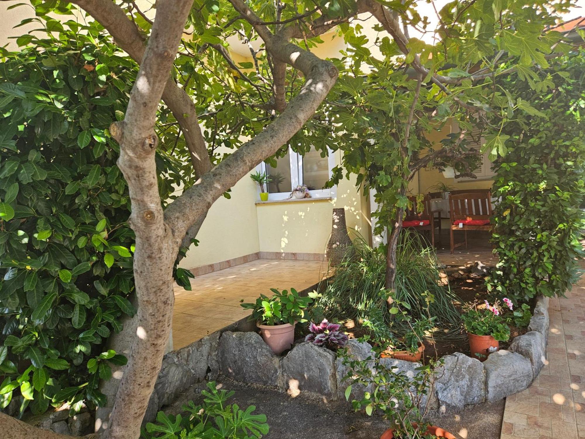 Apartmani Sanja Klenovica Luaran gambar